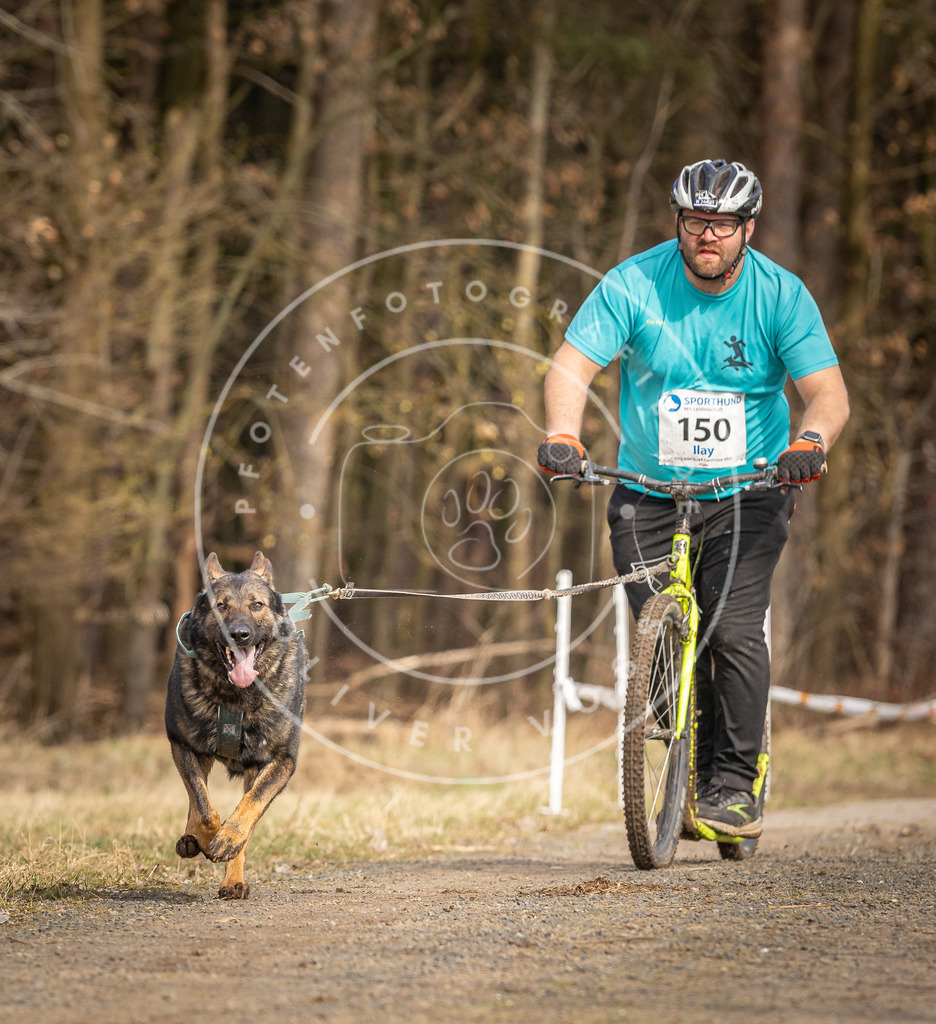 DV3A4809 | Hundefotografie, Tierfotograf, Pfotenfotografie, Fotoshooting Hund, Hunde Portrait, Hundesport, Hundeportraits, Heideshooting, Hunde, Sportfotograf, Hundefotograf, Turnierhundsport, THS,  - Realisiert mit Pictrs.com