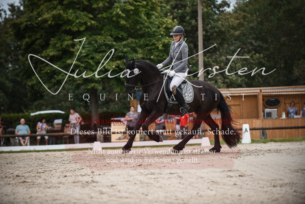 DSC_8338 | Pferde- und Turnierfotografie in Westsachsen. Pferdeportraits, Auftragszeichnungen und intuitive Kunst.