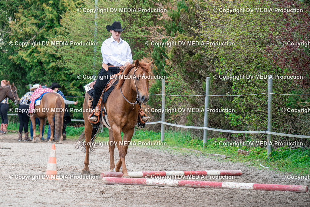 BAL02472 | dv-media-shop - Realisiert mit Pictrs.com