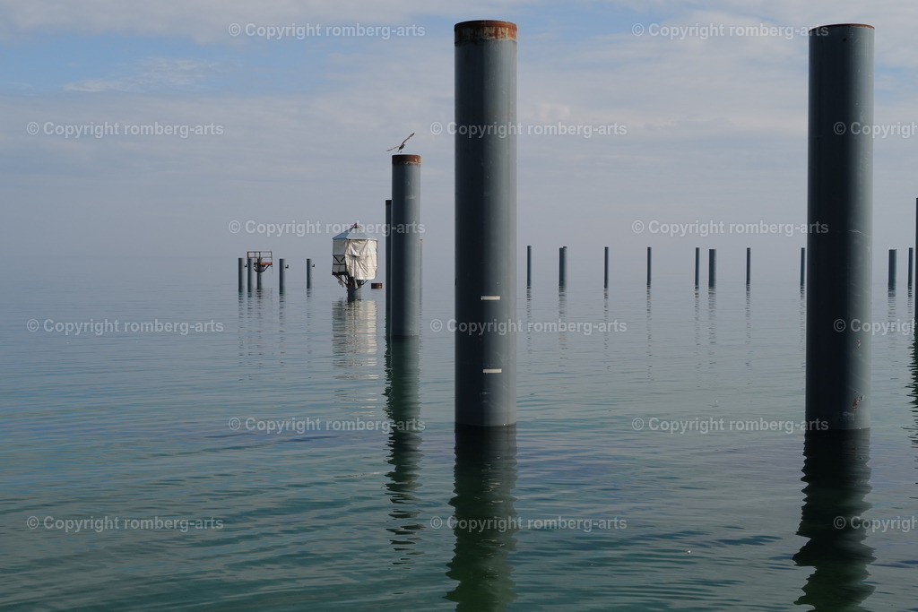 L1030758 | romberg-arts, romberg-arts.de, www.romberg-arts.de, Foto_Online_Shop, Julia Fuhrmann, Köln, Fotos, Fotografie, Fotokunst, Kunstdrucke, Naturfotos, Aktfotos, Nacktfotos, schwarz_weiß_Fotos, Blumenfotos, Blumen, Tiere, Beton, Korrosion, Lächeln, Drucke