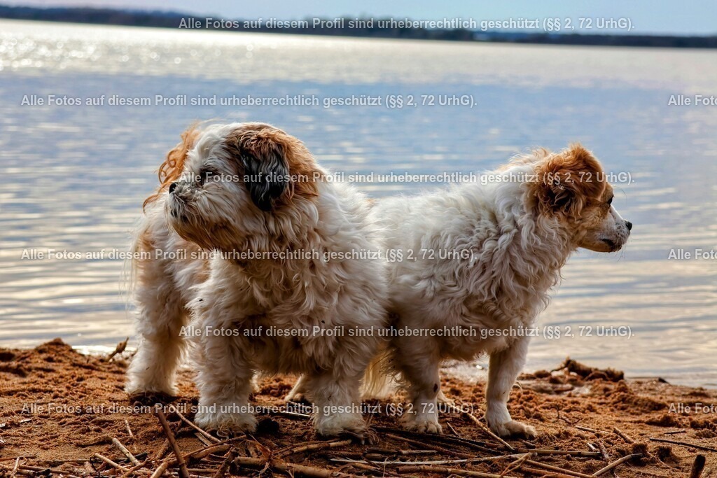 20240326154646_0C4A4277-01_2 | krollfotografie - Realisiert mit Pictrs.com