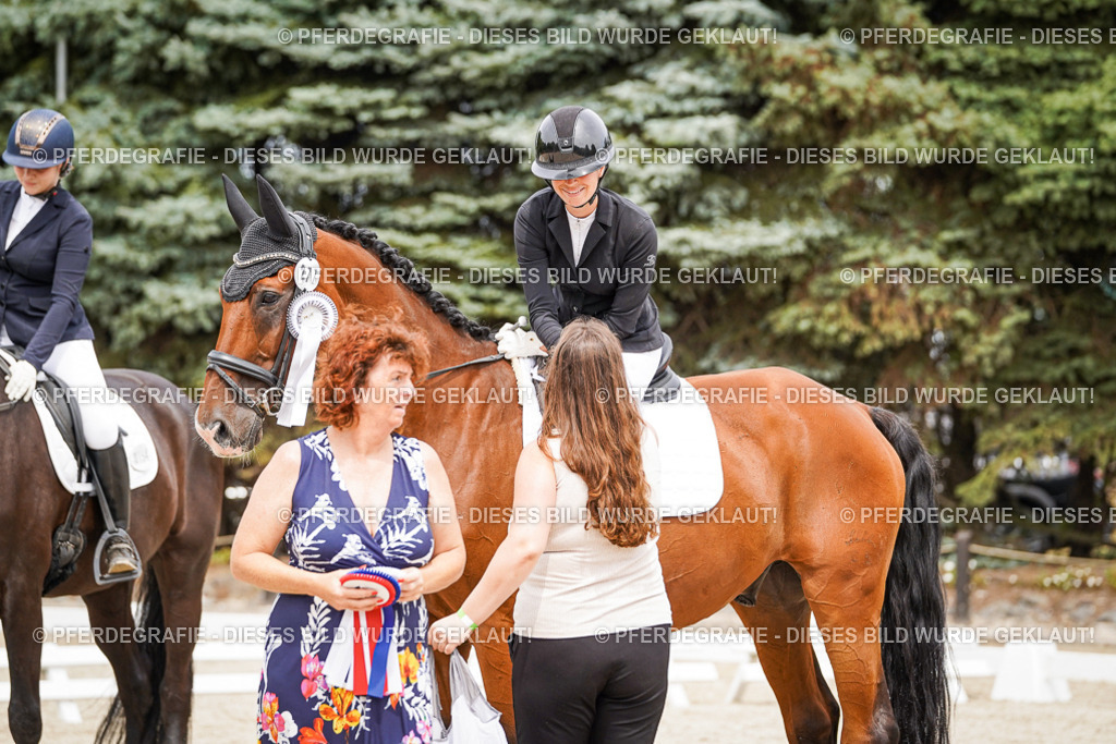 DSC04540 | Pferdegrafie