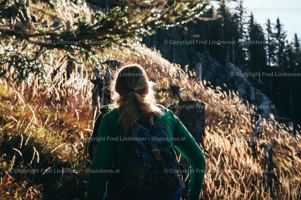 Bichleralpe-5835 | Fotos und Fotoprodukte - Realisiert mit Pictrs.com