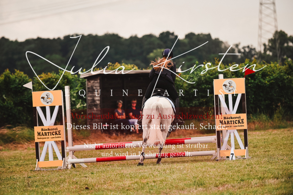 DSC_6983 | Pferde- und Turnierfotografie in Westsachsen. Pferdeportraits, Auftragszeichnungen und intuitive Kunst.