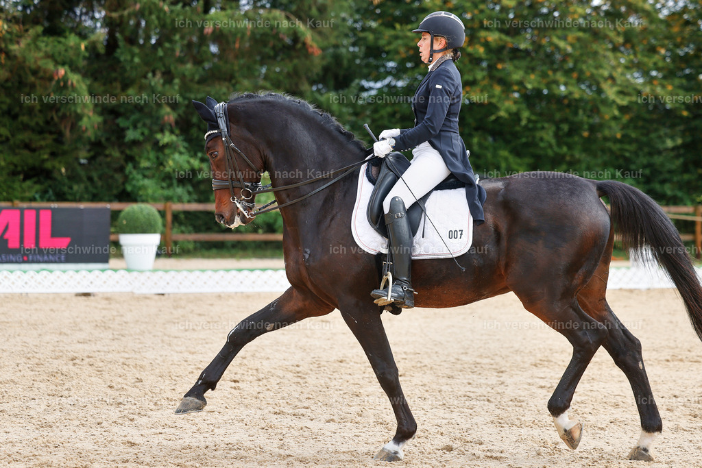 07-007-DRESSUR  S___  -StoibPH-5023 | working equitationturnier fotograf videograf stoibphotography marixx film working equitation deutschland reitsport turnierfotografie eventfotografie equestrian events