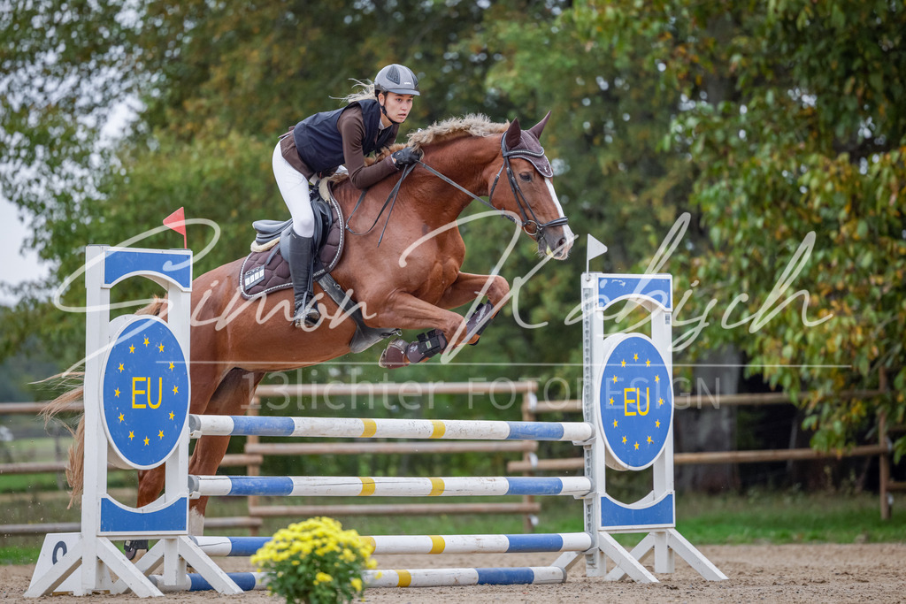 20251012-_3LI4406 | Tierfotografie Pferde, Hunde, Katzen, Haustiere.
Turnierfotografie Reitturniere, Reiten, Springreiten, Dressur in Hanau, dem Main-Kinzig-Kreis und dem Rhein-Main- Gebiet um Frankfurt