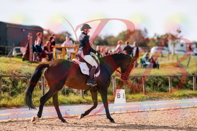 2026_10_03_Siefer-Hof_133823_Z81_95781719 | Professionelle Reitsport-, Turnier- und Eventfotografie von Robert Broda. Galerien mit ausgewählten und bearbeiteten Bildern direkt online ansehen und bestellen.