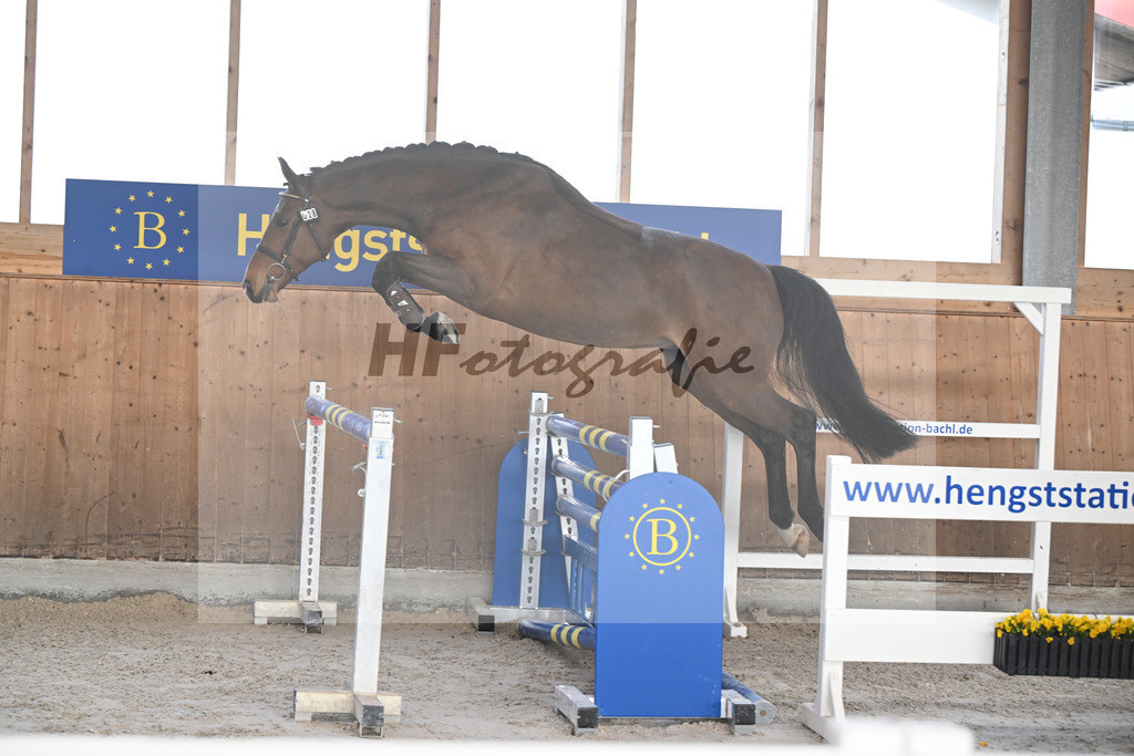 Kat-Nr. 28 Vintl B v. Vigaro_Rau_14260880 | hf-fotografie - Realisiert mit Pictrs.com