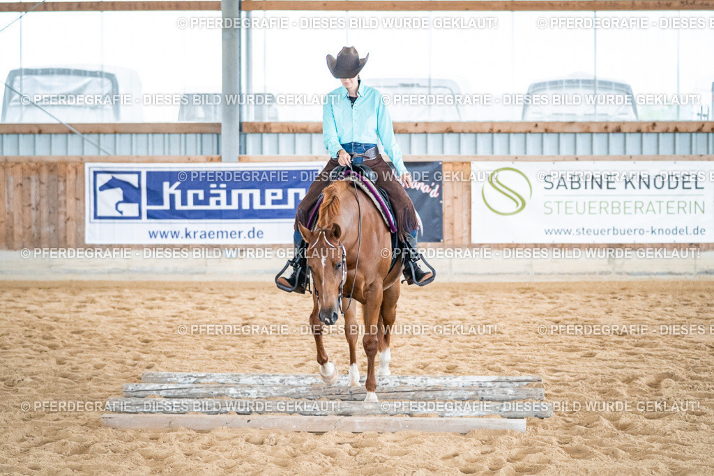 DSC03227 | Pferdegrafie