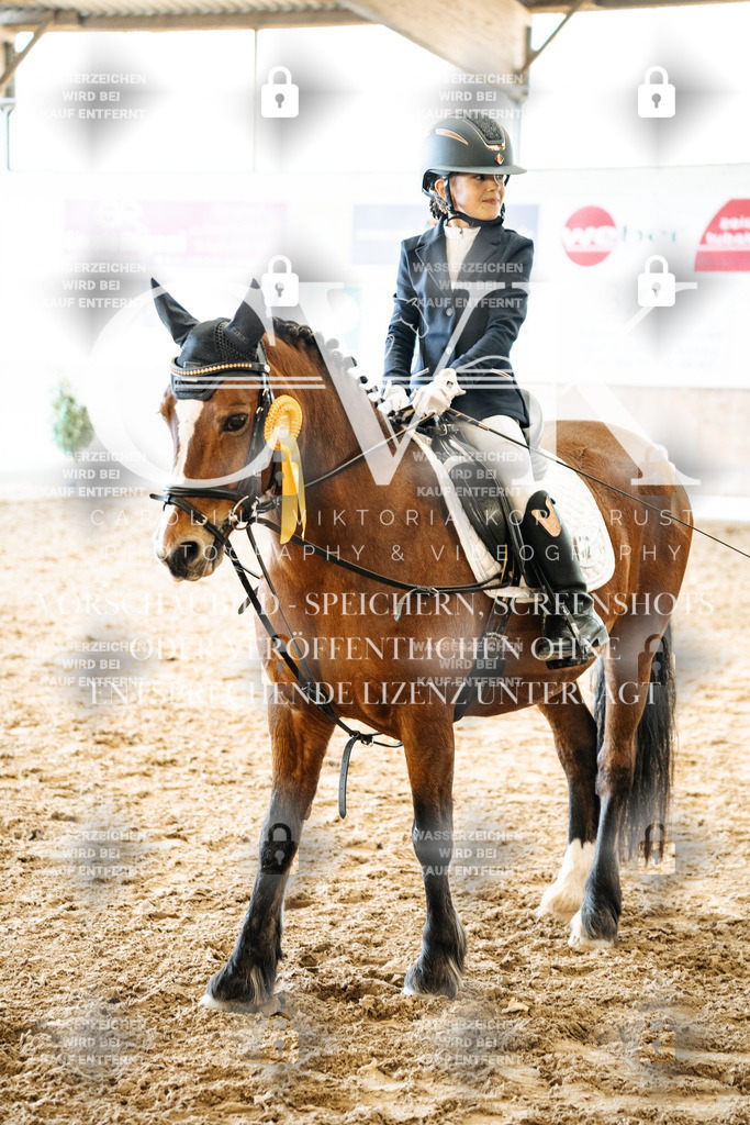 CK703115 | Turnierfotografie Pferdefotografie Trier Rheinland-Pfalz Pferdesport Reitsport Tierfotografie Sportfotografie Pferdevideo Pferdevideografie Equestrianvideography equestrianphotography  - Realisiert mit Pictrs.com