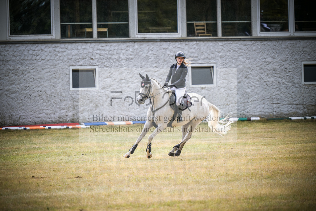DOS_1012 | Entdecke hochwertige Reitturnierfotos von Foto Oger. Professionell, emotional und authentisch – jetzt Lieblingsmomente im Shop bestellen.Deutschlandweite Turnierfotografie. - Realisiert mit Pictrs.com