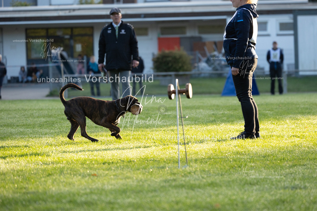 _16A5942 | Einzigartige Fotos von Hunden & Menschen –Actionfotos, Portraits, Vereinsaufnahmen & Paarshootings – authentisch, lebendig & mit Herz.