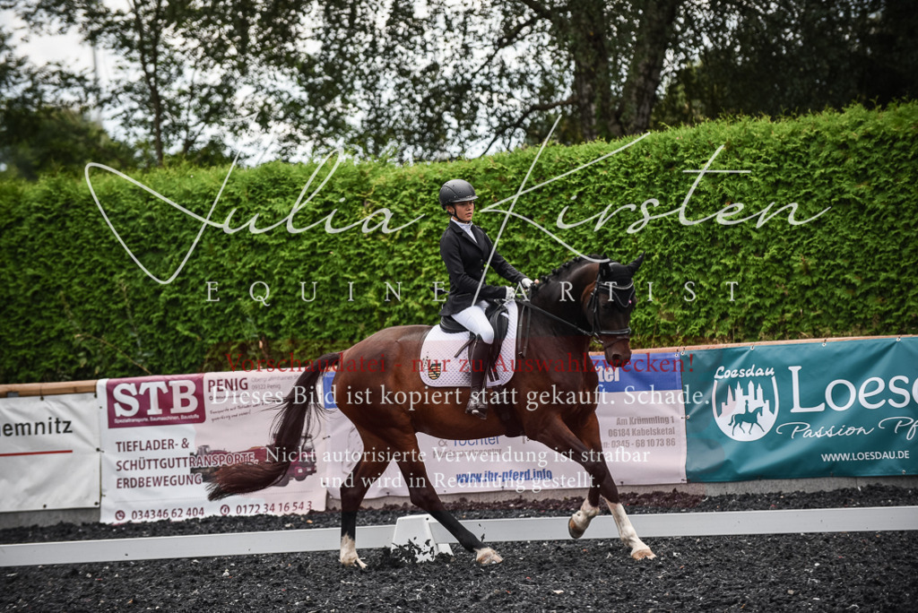 DSC_4544 | Pferde- und Turnierfotografie in Westsachsen. Pferdeportraits, Auftragszeichnungen und intuitive Kunst.