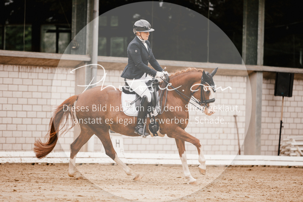 3I6A7810 | Stimmungsvolle Portraits und Reitsportfotografie im Ruhrgebiet und im Münsterland.

Pferdefotografie, Hundefotografie, Tierfotografie, Reportagen, Portraits von Tier und Mensch, Turnierfotografie in Bochum, Recklinghausen, Marl, Haltern am See, Dülmen.. - Realisiert mit Pictrs.com
