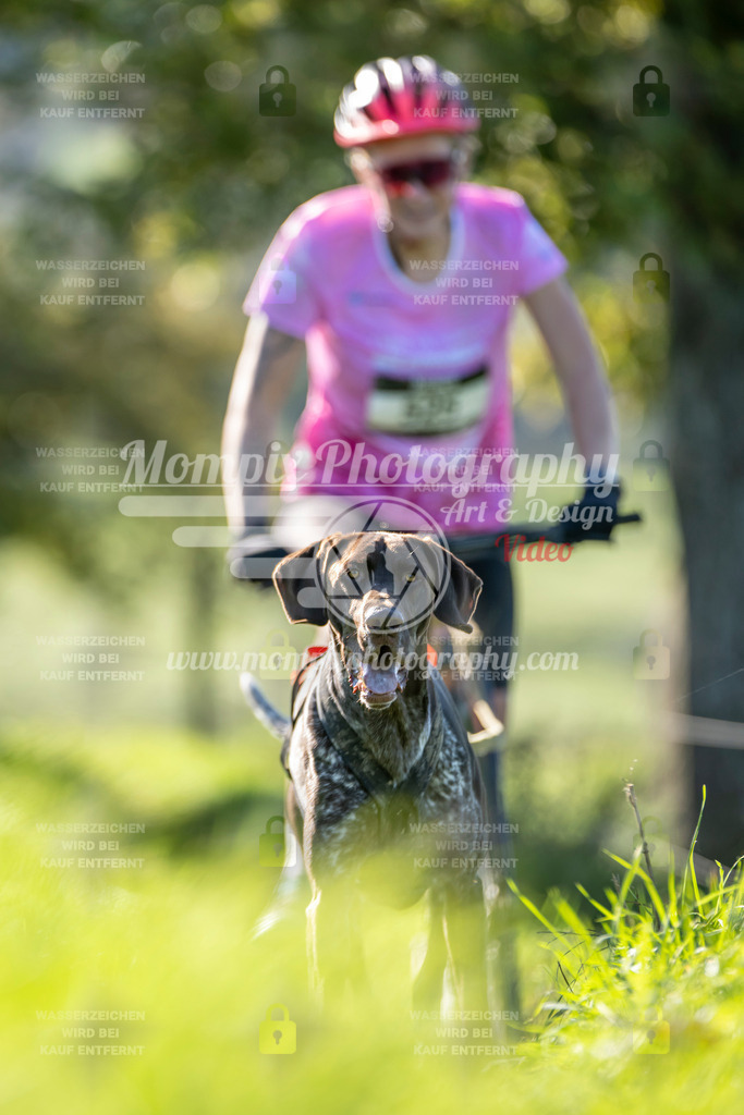MompixPhotography_20TSB_E3_DS1-20 | PayLife