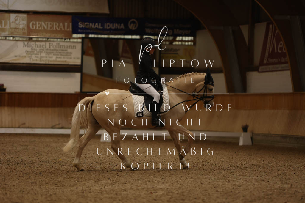 IMGM9141 | pl-fotografie