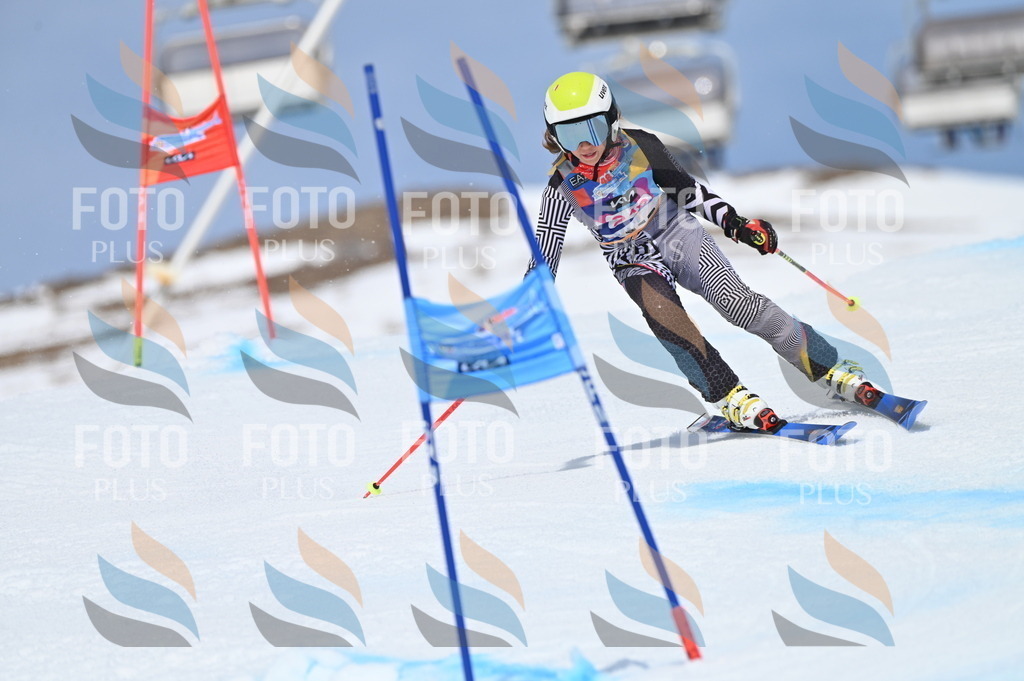 BGV_1808 | holidayphoto