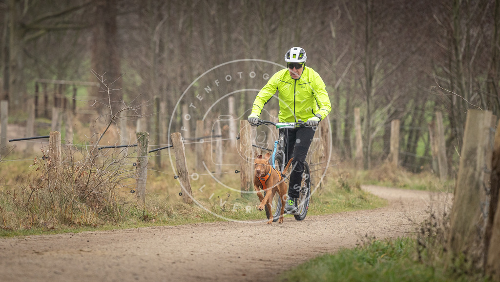 Pfotenfotografie_DV3A2635 | Hundefotografie, Tierfotograf, Pfotenfotografie, Fotoshooting Hund, Hunde Portrait, Hundesport, Hundeportraits, Heideshooting, Hunde, Sportfotograf, Hundefotograf, Turnierhundsport, THS,  - Realisiert mit Pictrs.com