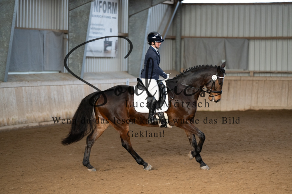 A7V05517 | Pferdefotograf