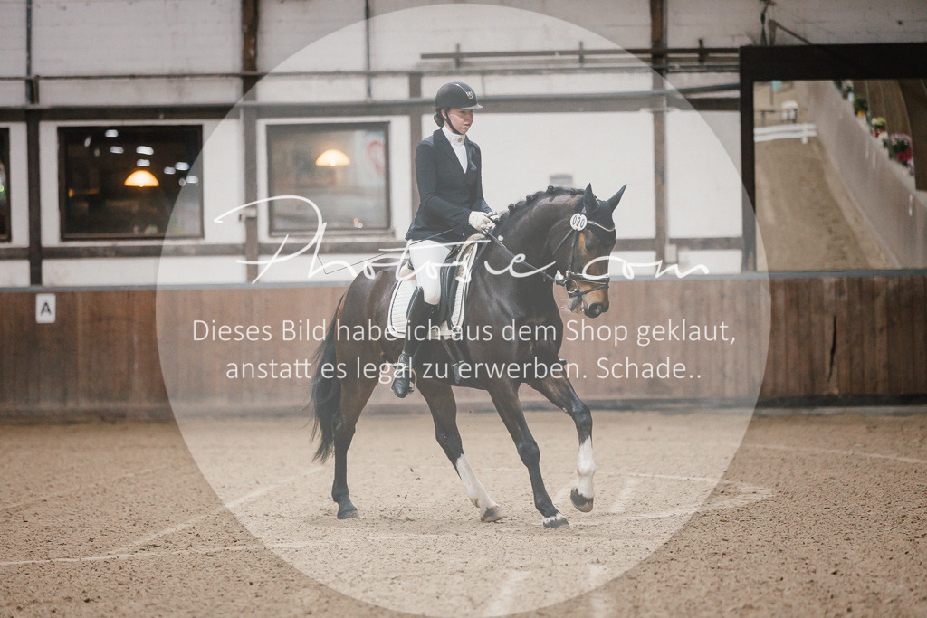 3I6A5800 | Stimmungsvolle Portraits und Reitsportfotografie im Ruhrgebiet und im Münsterland.

Pferdefotografie, Hundefotografie, Tierfotografie, Reportagen, Portraits von Tier und Mensch, Turnierfotografie in Bochum, Recklinghausen, Marl, Haltern am See, Dülmen.. - Realisiert mit Pictrs.com