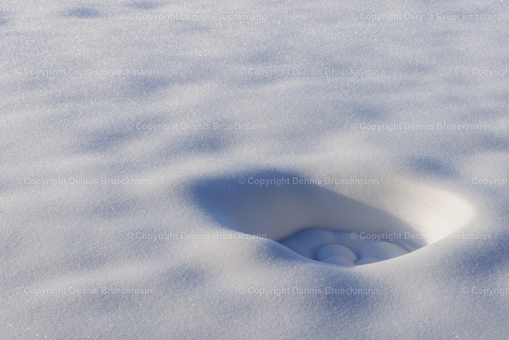 Elefantenfussabdruck_im_Schnee | Dennis-Brueckmann-Fotografie - Realisiert mit Pictrs.com