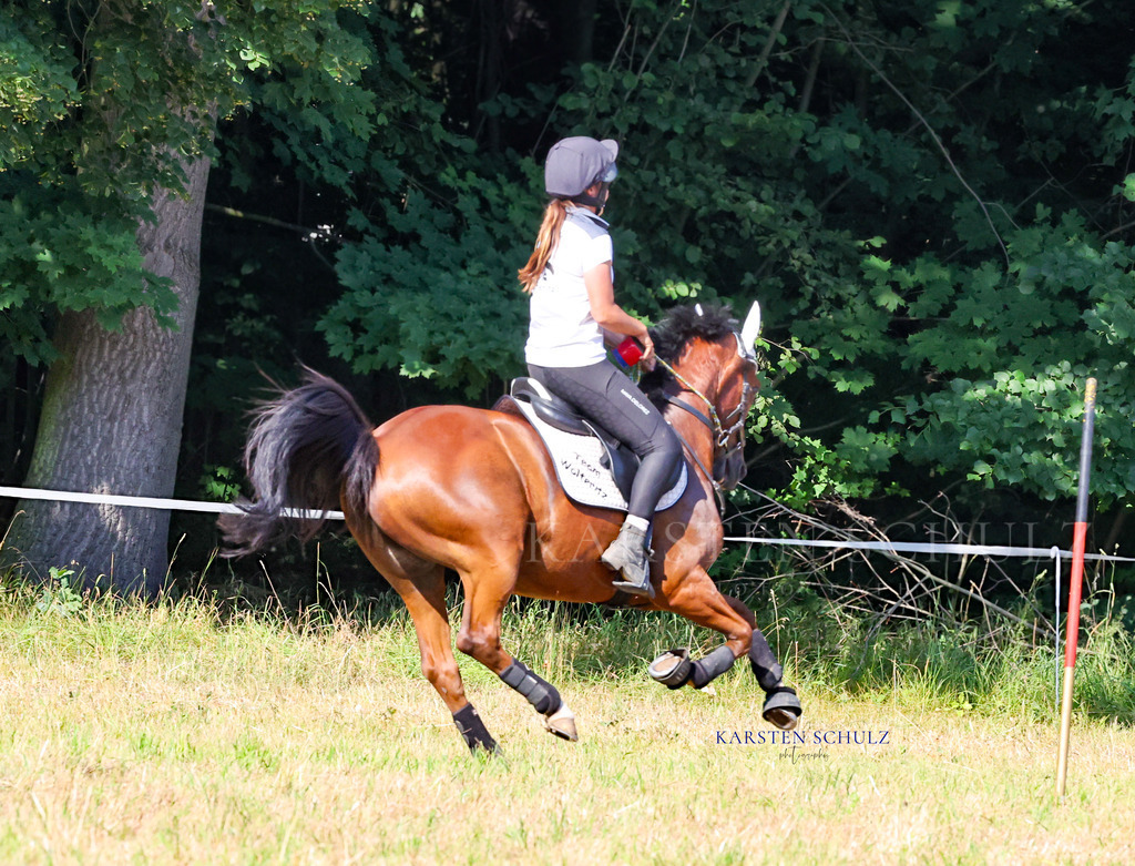 1B3A8129 | Reitsport Reiten