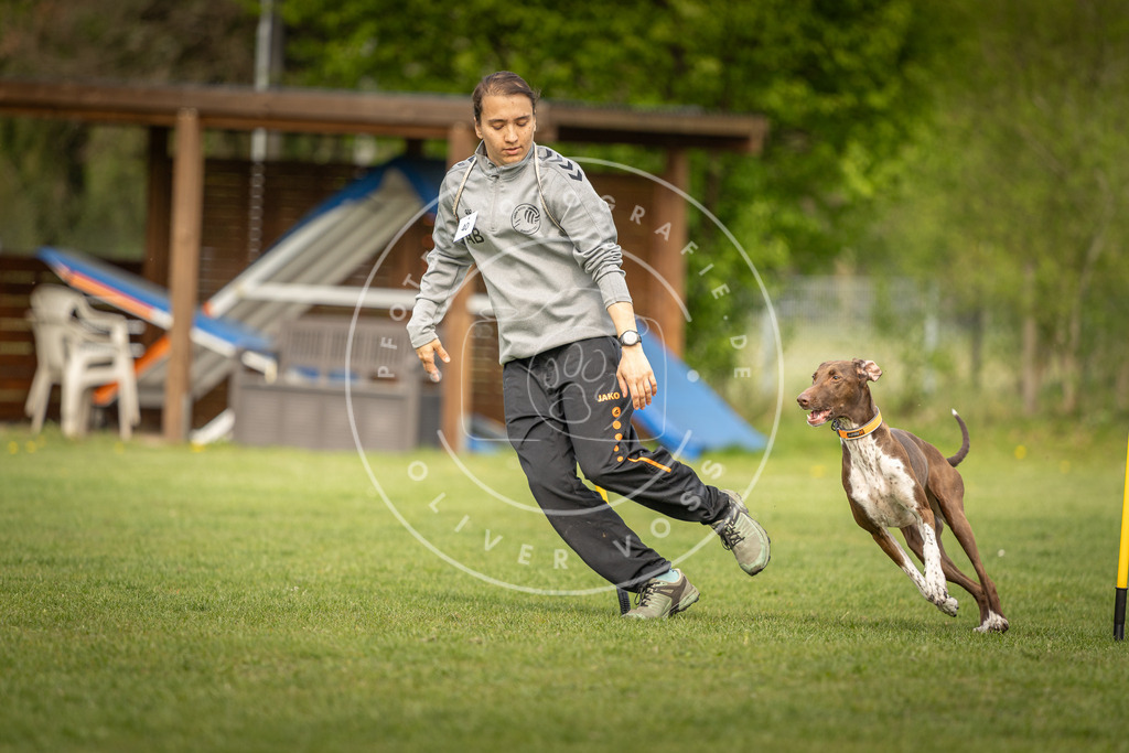 Pfotenfotografie_DV3A5150 | Hundefotografie, Tierfotograf, Pfotenfotografie, Fotoshooting Hund, Hunde Portrait, Hundesport, Hundeportraits, Heideshooting, Hunde, Sportfotograf, Hundefotograf, Turnierhundsport, THS,  - Realisiert mit Pictrs.com