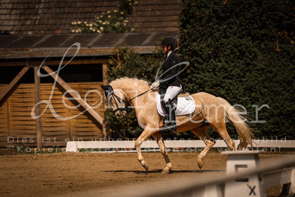 08.FrDrPL00047 | Leoni Ertmer Photography - Realisiert mit Pictrs.com