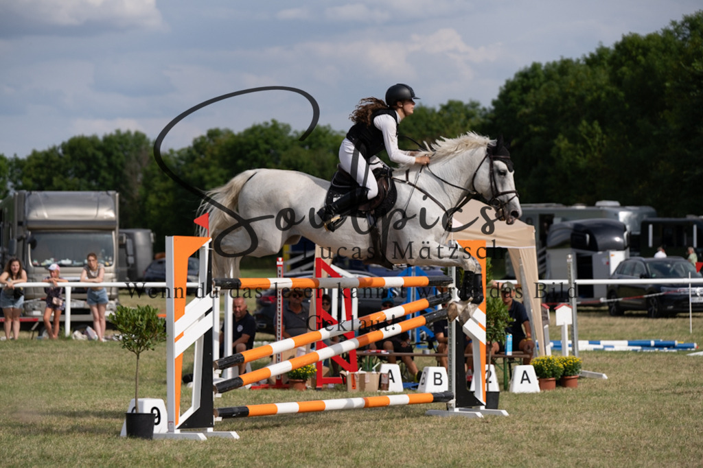 A7V02716 | Pferdefotograf