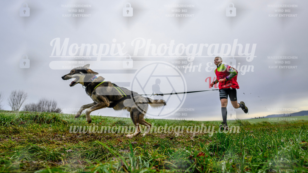 MompixPhotography_Staufertrail2024_SO_Canicross-23 | PayLife
