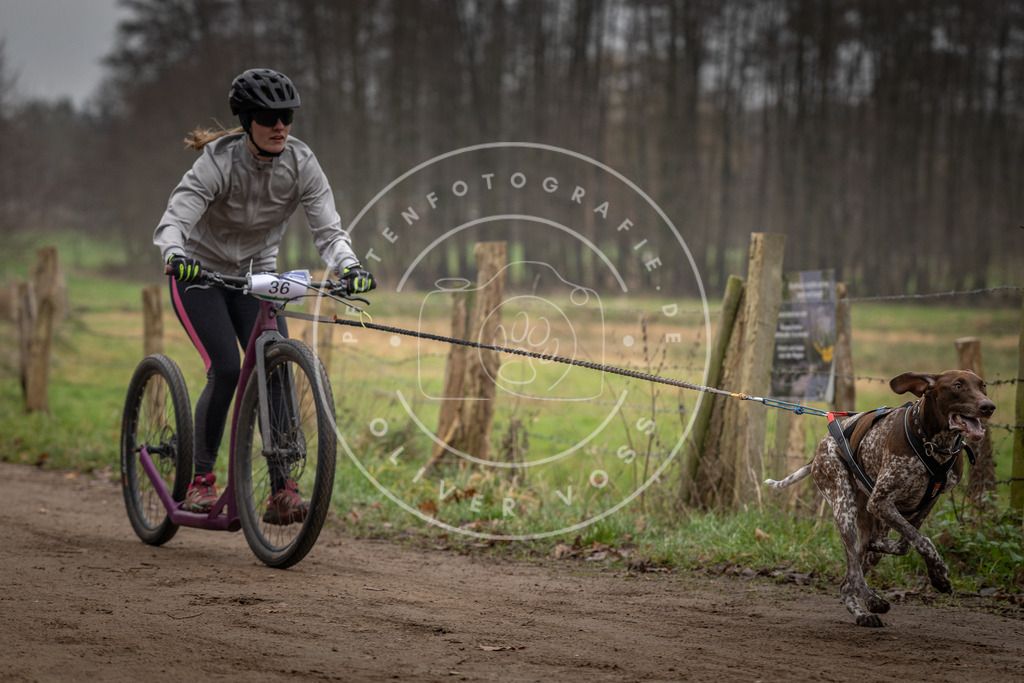Pfotenfotografie_DV3A2437 | Hundefotografie, Tierfotograf, Pfotenfotografie, Fotoshooting Hund, Hunde Portrait, Hundesport, Hundeportraits, Heideshooting, Hunde, Sportfotograf, Hundefotograf, Turnierhundsport, THS,  - Realisiert mit Pictrs.com