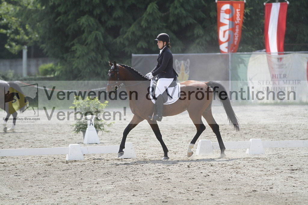 _MG_1949 | equestrian-live-com