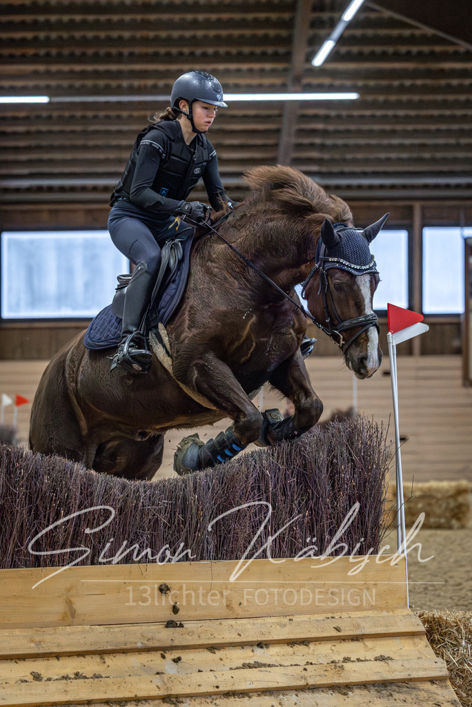 20260222-_3LI1313 | Tierfotografie Pferde, Hunde, Katzen, Haustiere.
Turnierfotografie Reitturniere, Reiten, Springreiten, Dressur in Hanau, dem Main-Kinzig-Kreis und dem Rhein-Main- Gebiet um Frankfurt