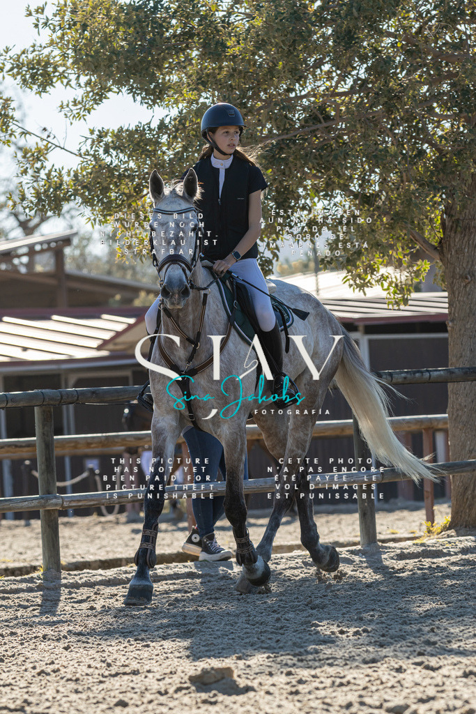 IMG_2071 | s-jay-photography - Realisiert mit Pictrs.com