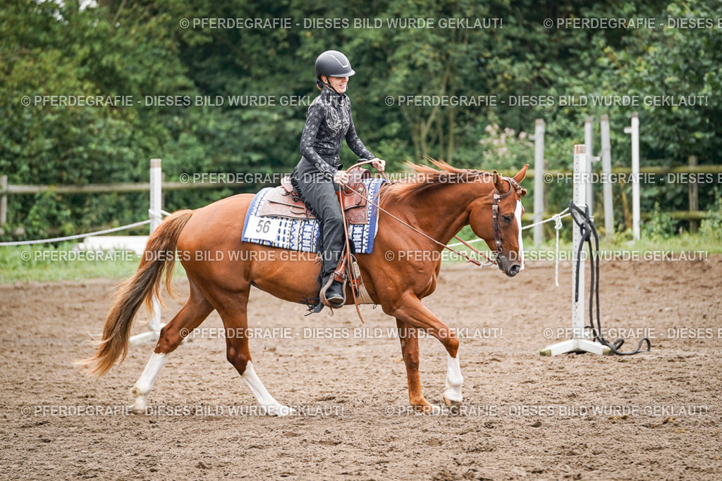 DSC02435 | Pferdegrafie