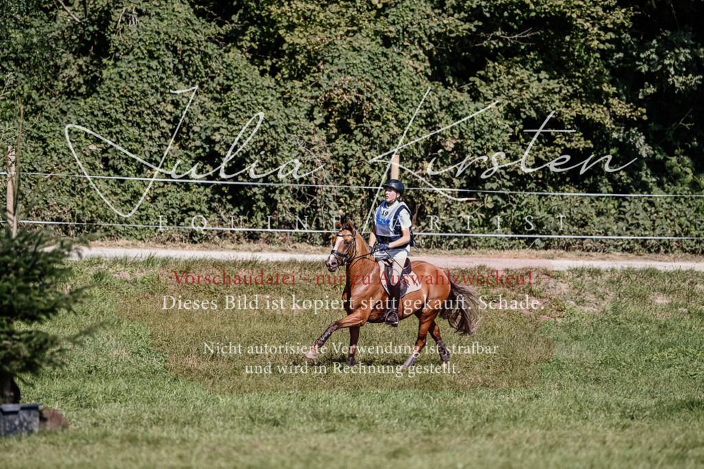 DSC_2076 | Pferde- und Turnierfotografie in Westsachsen. Pferdeportraits, Auftragszeichnungen und intuitive Kunst.