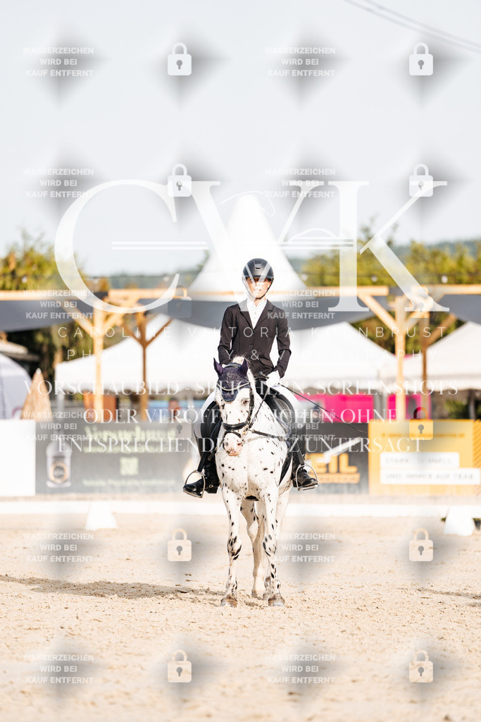CK904465 | Turnierfotografie Pferdefotografie Trier Rheinland-Pfalz Pferdesport Reitsport Tierfotografie Sportfotografie Pferdevideo Pferdevideografie Equestrianvideography equestrianphotography  - Realisiert mit Pictrs.com