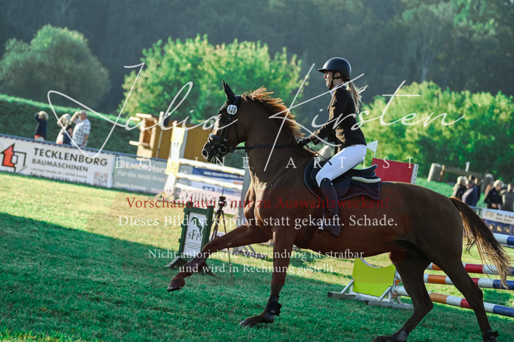 DSC_3940 | Pferde- und Turnierfotografie in Westsachsen. Pferdeportraits, Auftragszeichnungen und intuitive Kunst.