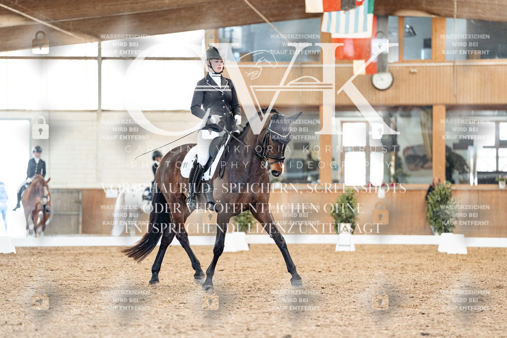 CK908767 | Turnierfotografie Pferdefotografie Trier Rheinland-Pfalz Pferdesport Reitsport Tierfotografie Sportfotografie Pferdevideo Pferdevideografie Equestrianvideography equestrianphotography  - Realized with Pictrs.com