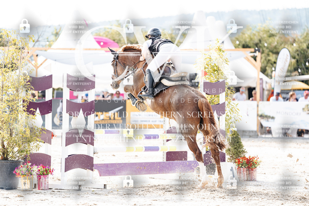 CK906014 | Turnierfotografie Pferdefotografie Trier Rheinland-Pfalz Pferdesport Reitsport Tierfotografie Sportfotografie Pferdevideo Pferdevideografie Equestrianvideography equestrianphotography  - Realisiert mit Pictrs.com