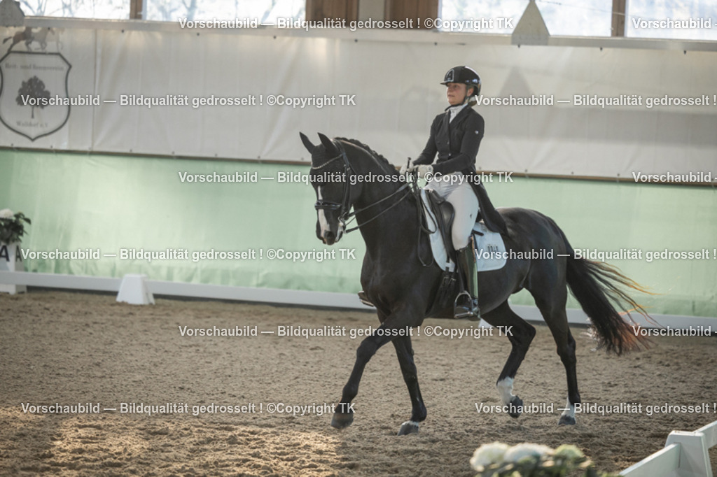 _D5A0780 | Emotionale Pferde- & People-Fotografie rund um Heidelberg, Leimen & Umgebung. Natürliche Fotos von Pferd, Mensch & Familie. Jetzt Termin sichern!