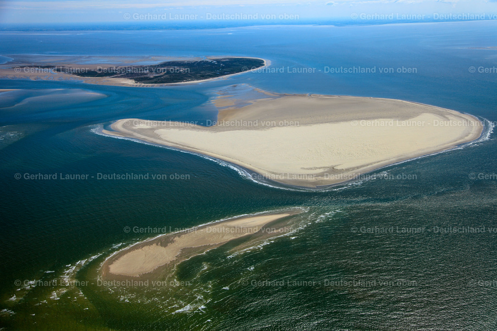 3090287 | Kachelotplate, Nationalpark Niedersächsisches Wattenmeer