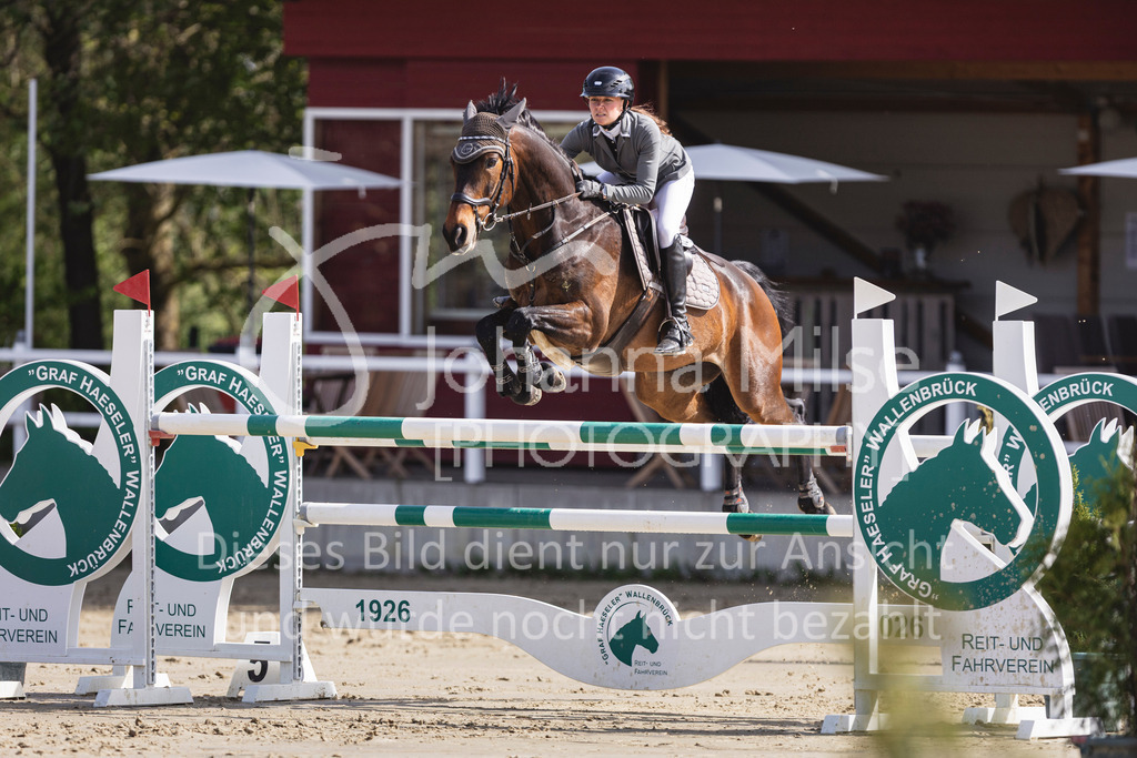260503_Spenge_7_M2-Spr-m-steig-Anf-737 | Deine schönsten Turniermomente als professionelle Fotos! Entdecke hochwertige Pferdesport-Fotografie im Online-Shop. Jetzt Fotos finden & bestellen!