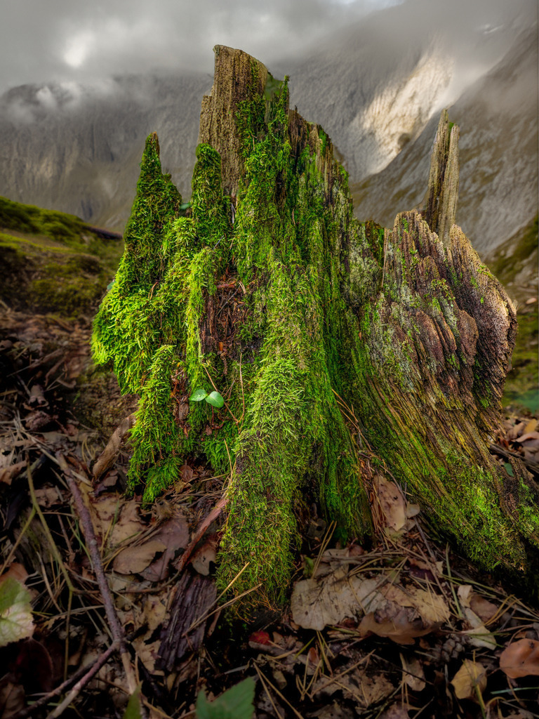 2024_10_06 20241006_143043 | bridgeman - Realisiert mit Pictrs.com