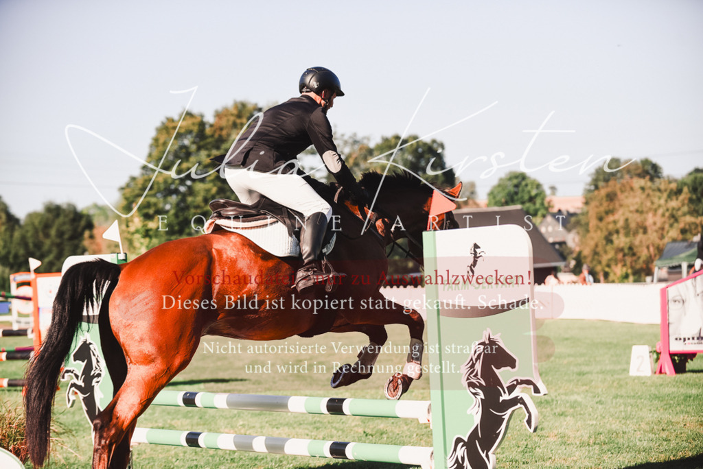 DSC_2179 | Pferde- und Turnierfotografie in Westsachsen. Pferdeportraits, Auftragszeichnungen und intuitive Kunst.