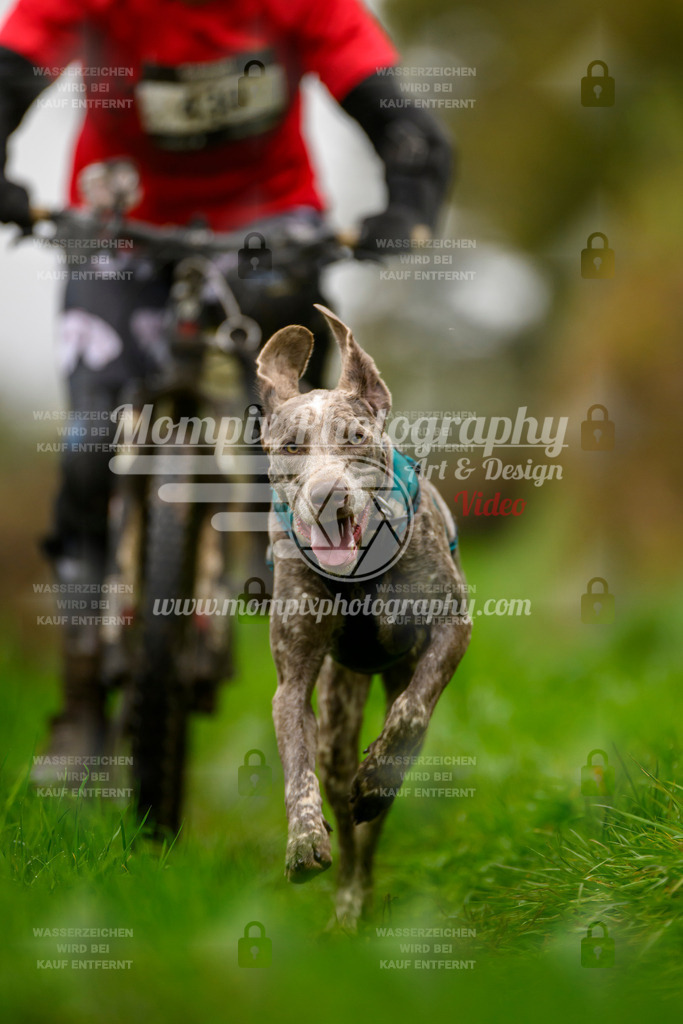 MompixPhotography_20TSB_E8_Bike-147 | PayLife