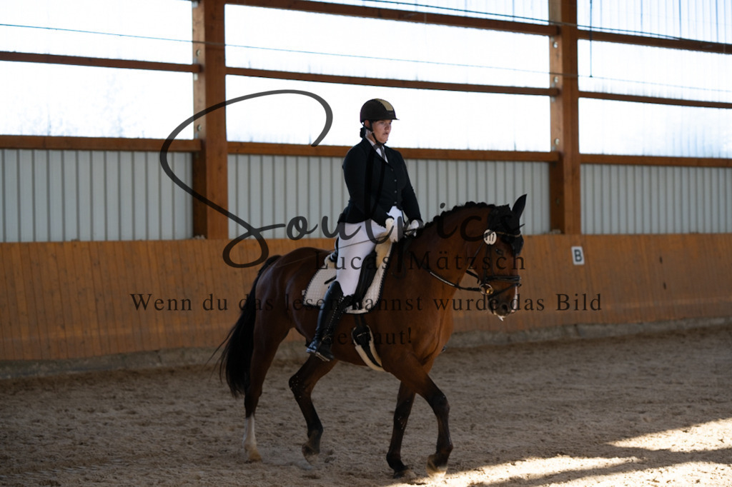 A7V01868 | Pferdefotograf