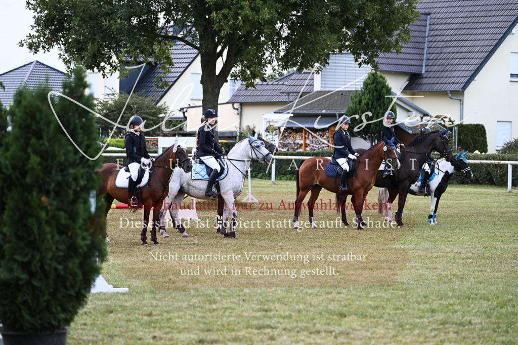 DSC_5755-2 | Pferde- und Turnierfotografie in Westsachsen. Pferdeportraits, Auftragszeichnungen und intuitive Kunst.
