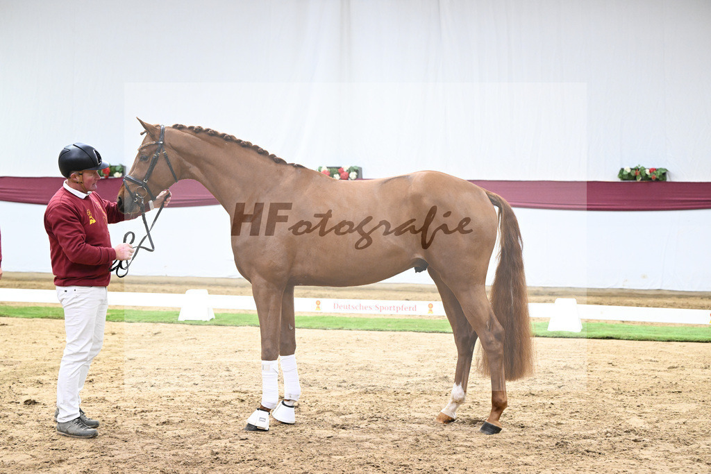 Kat-Nr. 133 Von Und Zu x Locksley III_Sabine Lehner_47254480 | hf-fotografie - Realisiert mit Pictrs.com