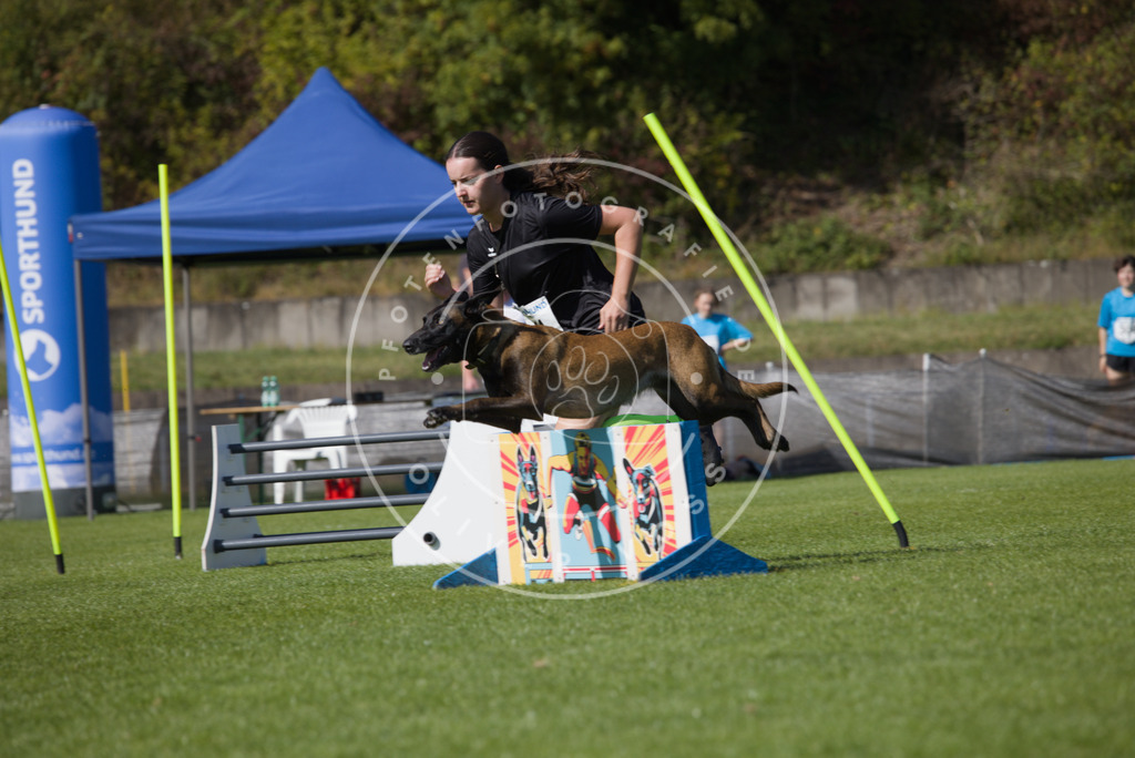 0L8A7501 | Hundefotografie, Tierfotograf, Pfotenfotografie, Fotoshooting Hund, Hunde Portrait, Hundesport, Hundeportraits, Heideshooting, Hunde, Sportfotograf, Hundefotograf, Turnierhundsport, THS,  - Realisiert mit Pictrs.com